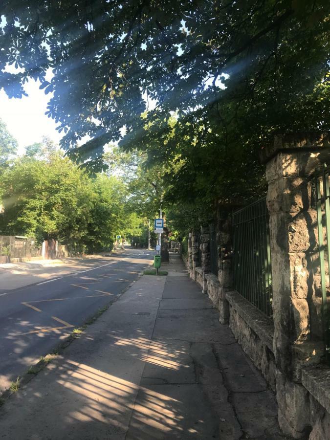 Pasaret Studio Budapest Luaran gambar